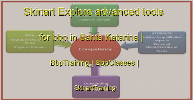 Skinart Explore advanced tools for bbp in Santa Katarina | BbpTraining | BbpClasses | SkinartTraining-Malta